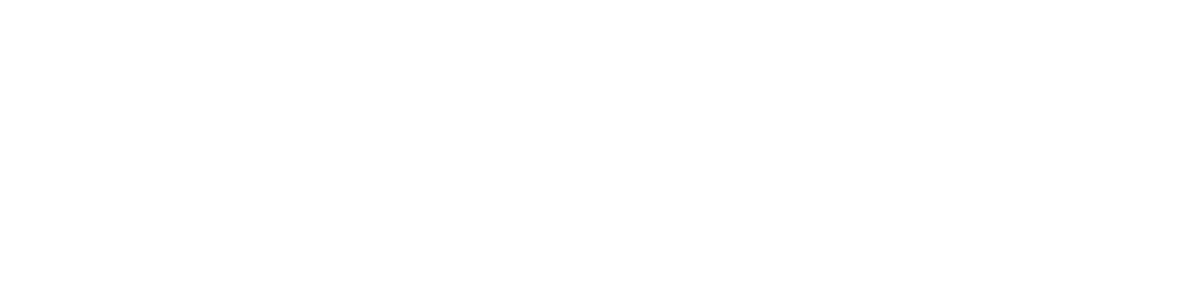 2i Lifestyle Logo